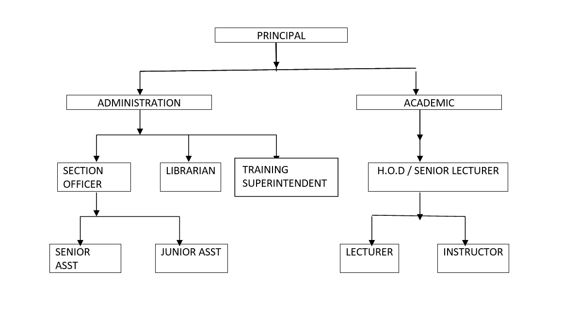 Organisational Chart and Process